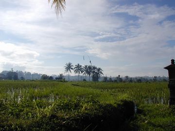 �ʿ�������������Х��硡�Ķ����ѥ�󥬥�
