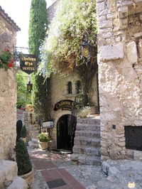 IMG_0785