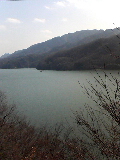 089cc649.jpg