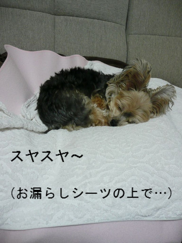 BlogPaint