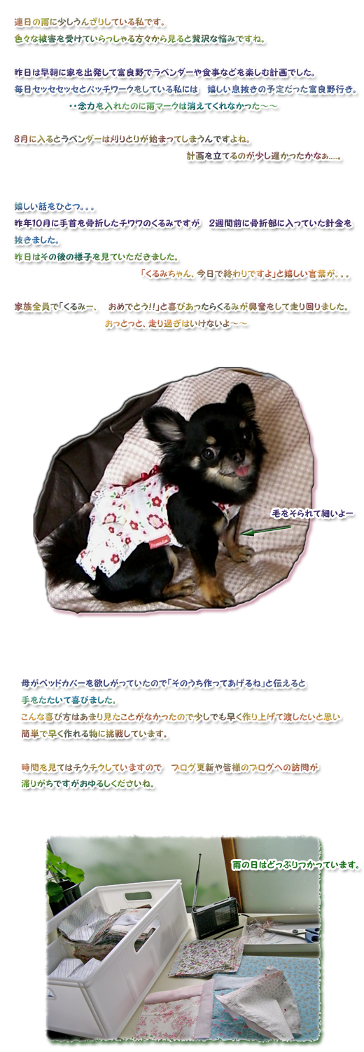 ����ߤ��褦�䤯�������ޤ����衼