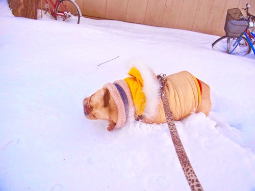 2015-01-04-01-04-10