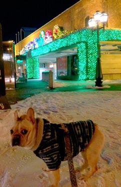 2014-12-13-22-10-20