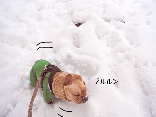 2015-03-12-22-49-09