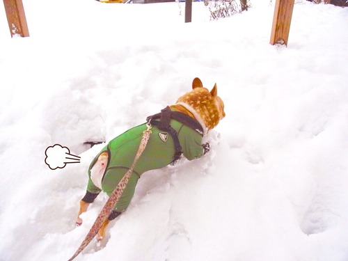 2015-03-12-22-21-18