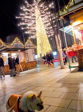 2014-12-13-22-17-45