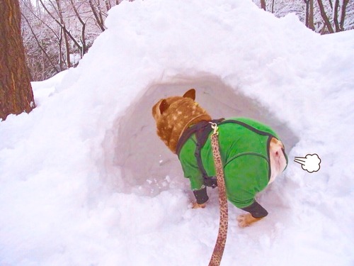 2015-03-12-22-24-08