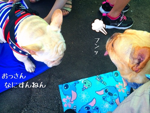 2014-07-07-20-43-31