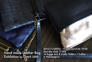 20151120 fumie2009