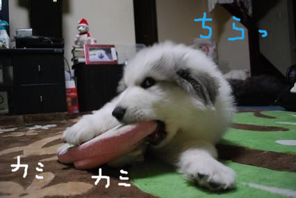 BlogPaint
