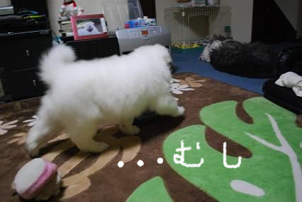 BlogPaint