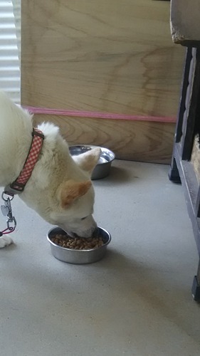 DSC_1635 - コピー