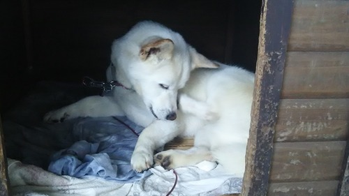 DSC_1620 - コピー