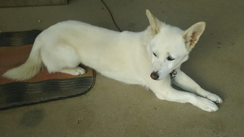 DSC_0683 - コピー