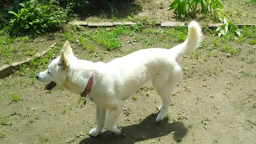 DSC_0691 - コピー