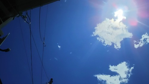 DSC_0690 - コピー