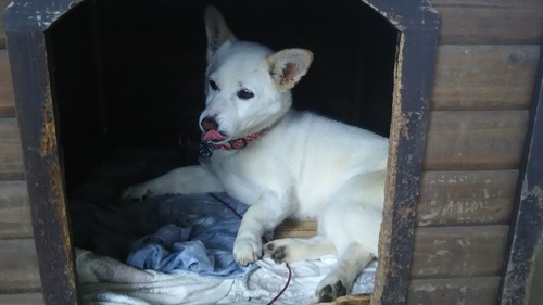 DSC_1619 - コピー