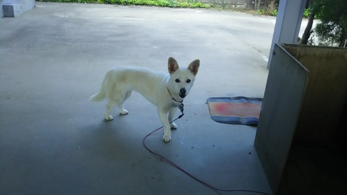 DSC_0699 - コピー