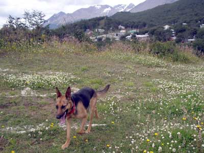 060123_w400.jpg