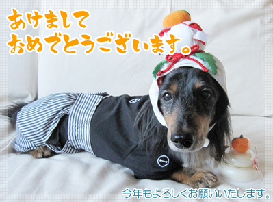 new year