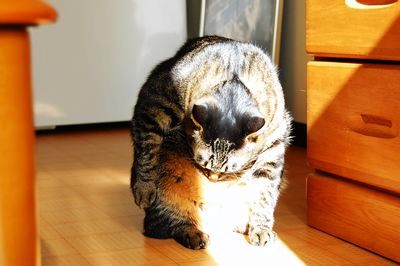 ���ʤ��⤭�줤��
