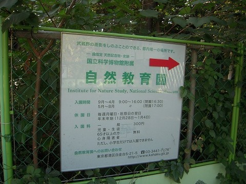 2012-10-15No(089)
