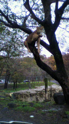 2011110613370000
