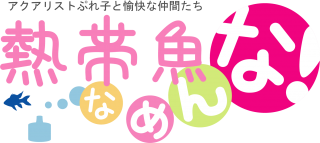 0FBE333A-72BB-462F-83B1-B90663762993
