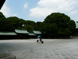 P1050903