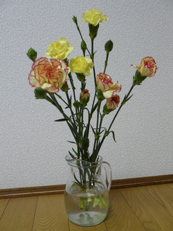 P1050757