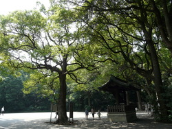 P1050910