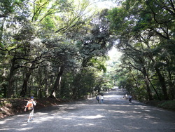 P1050898