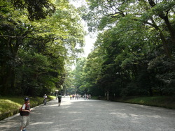 P1050905