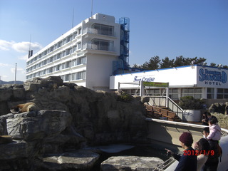 CIMG1802