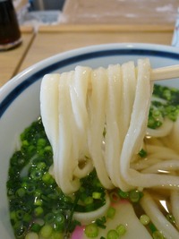P1050254