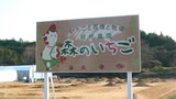P1030447