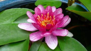 P1050207