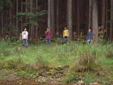 nabowa_photo