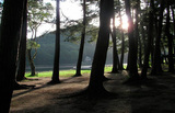 peaceful-garden