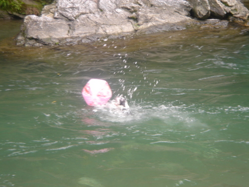 DSC06943