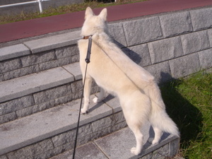 DSC07008