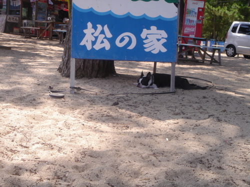 DSC06963