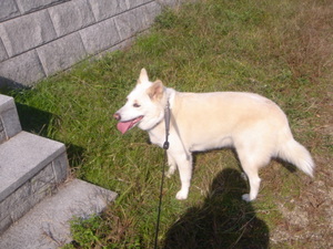 DSC07007