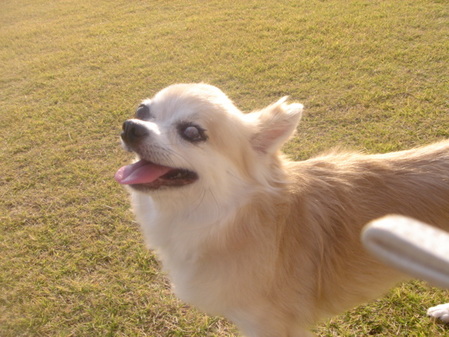 DSC07037