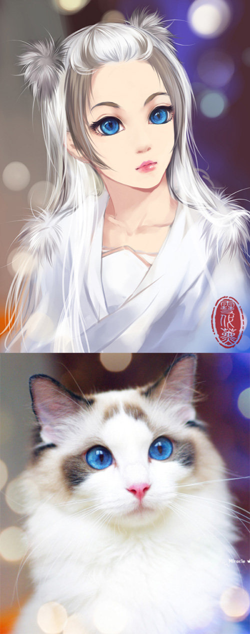 cats-anime-ladies-06