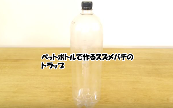 キャプチャリング600