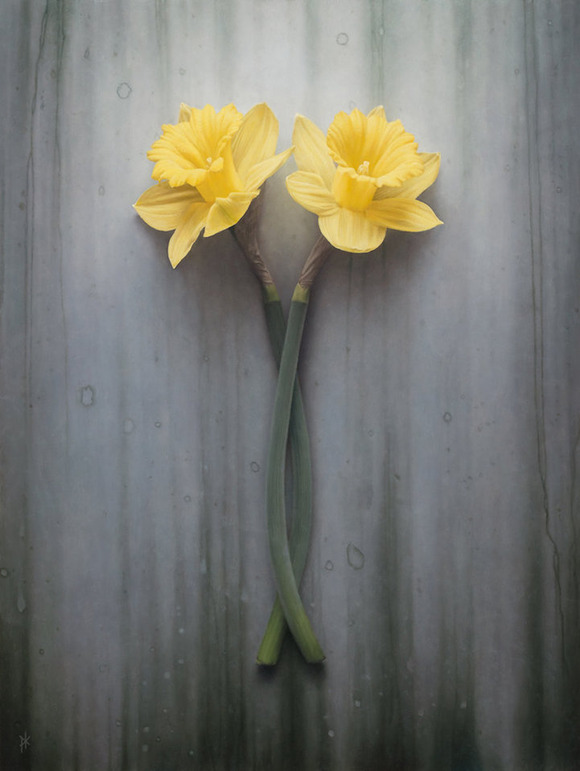 double_daffodil_by_patrick_kramerd8jiyy3