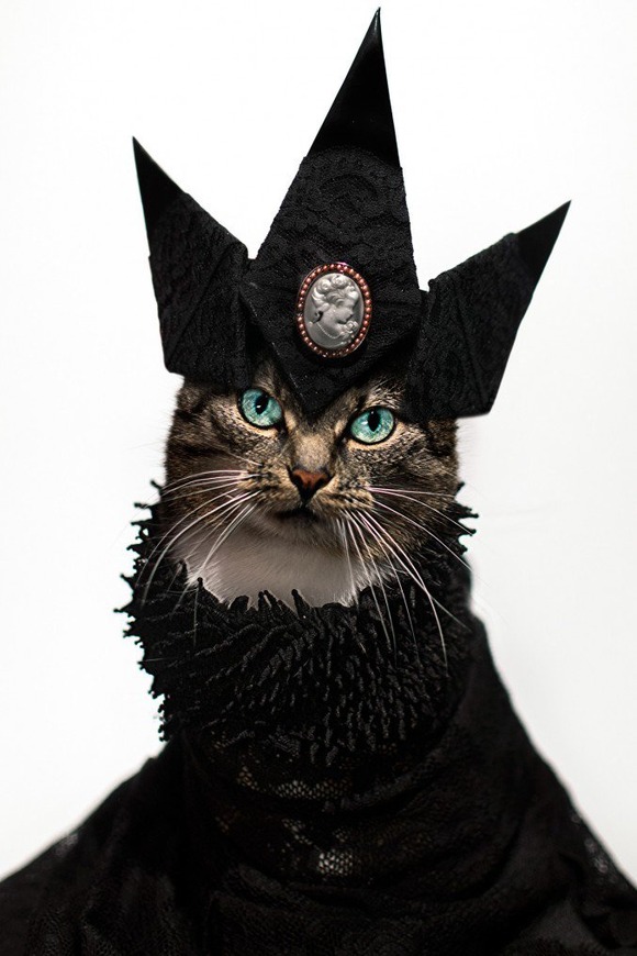 Cat-Couture-by-Jason-Mc-Groarty-4-677x1016