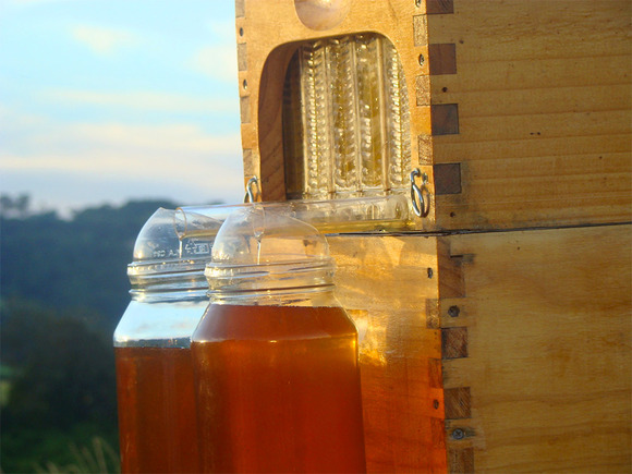 honey-2