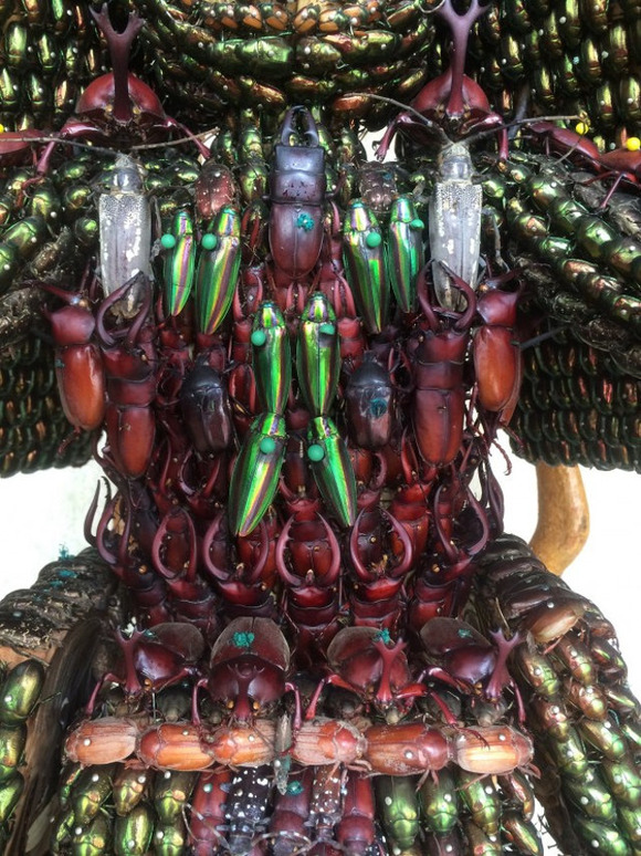 samurai-bug-armor-4